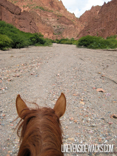 Horse heading down Valley
